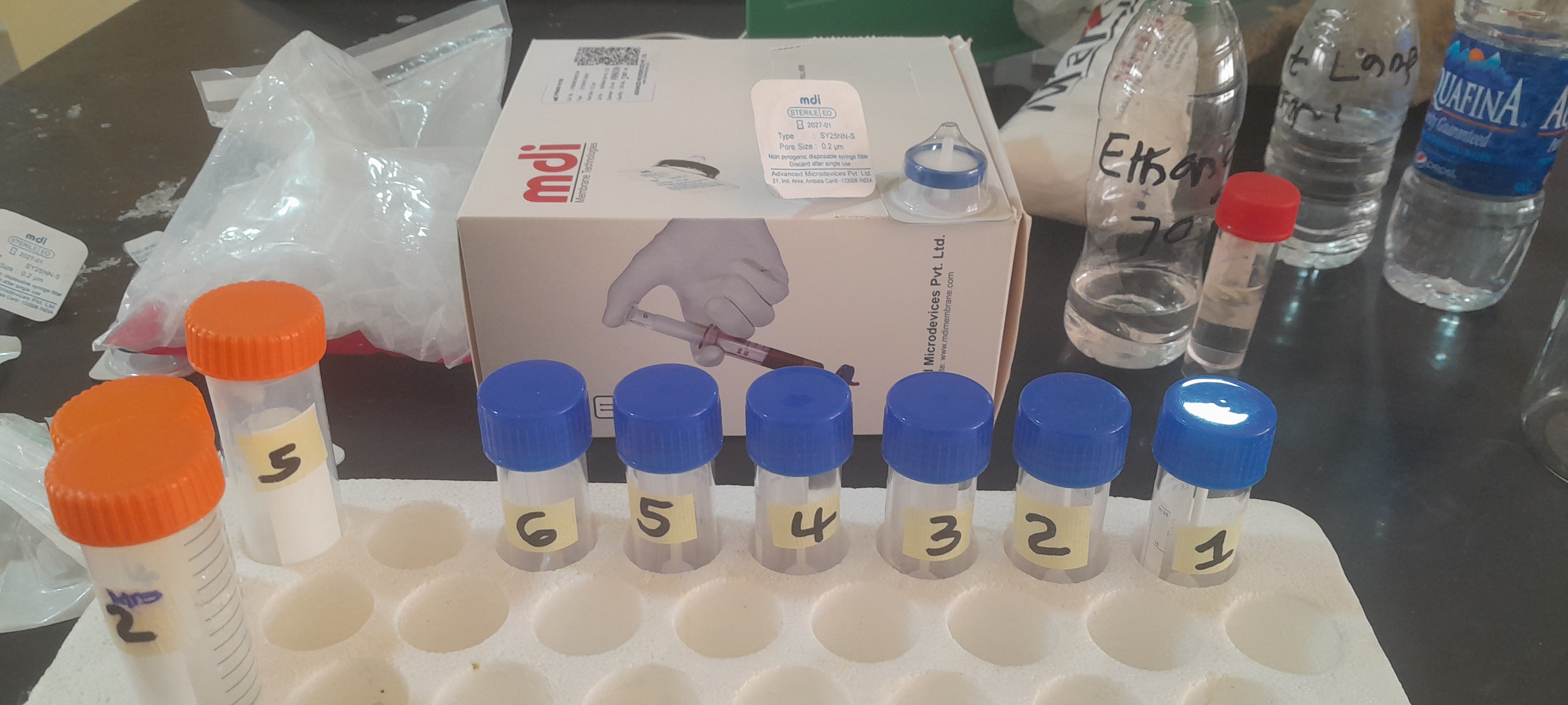 Bio-Entrepreneurship Hub